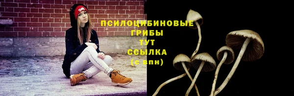 прущий лед Лиски