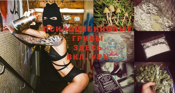прущий лед Лиски