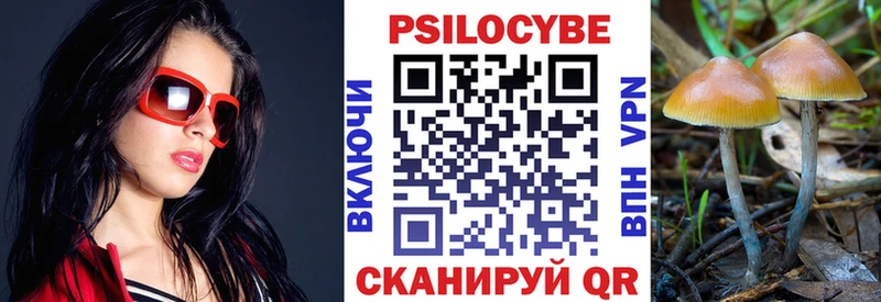 Купить  Волоколамск  Галлюциногенные грибы Cubensis 