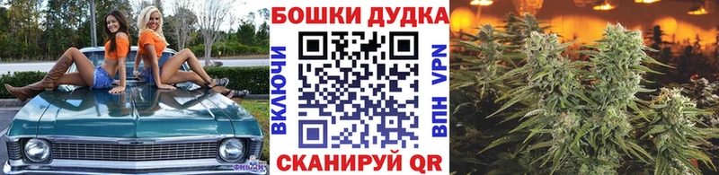 Бошки марихуана Bruce Banner Волоколамск