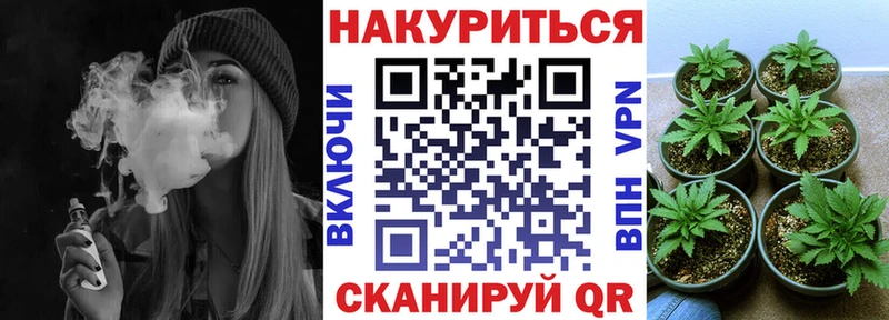 Купить закладки  Волоколамск  Шишки марихуана VHQ 